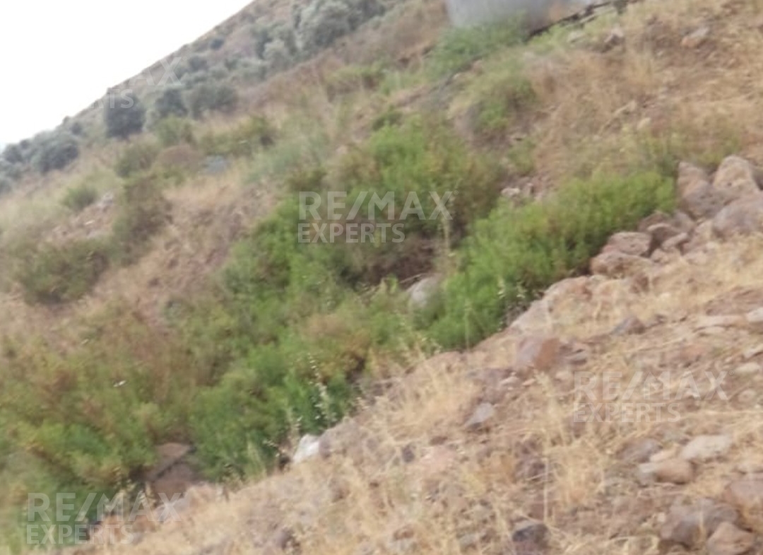 R9-367 Land for sale in Ghzayleh-Akkar!! — الصورة 5 من 5