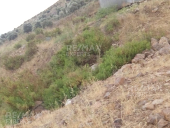 R9-367 Land for sale in Ghzayleh-Akkar!! — الصورة 5 من 5