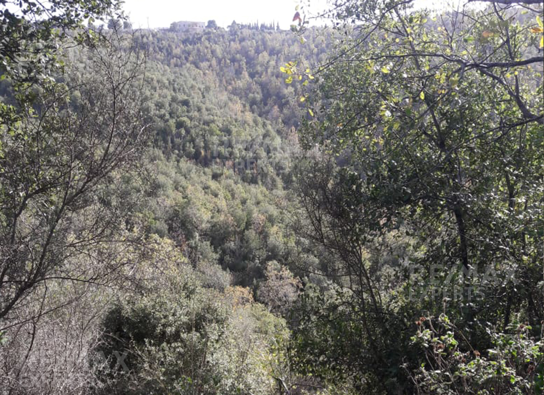 R9-370 Land for Sale in AL Batroun ! — الصورة 3 من 3