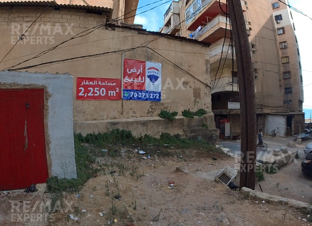 R9-403 Land for sale in al Mina ! — الصورة 12 من 13
