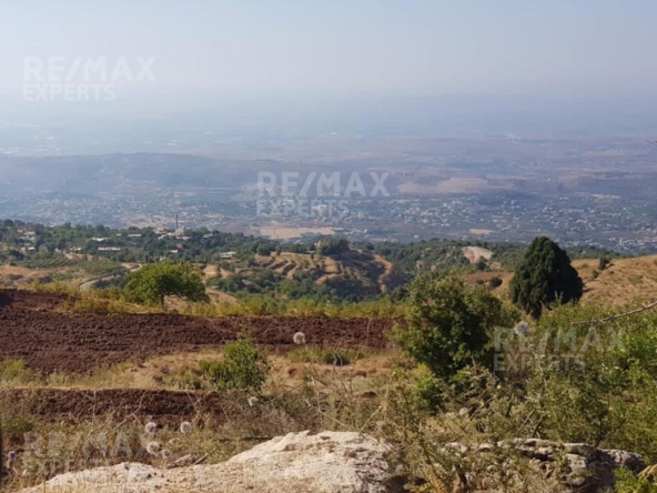 R9-425 Land for sale in Akkar ! — Photo 3 of 7