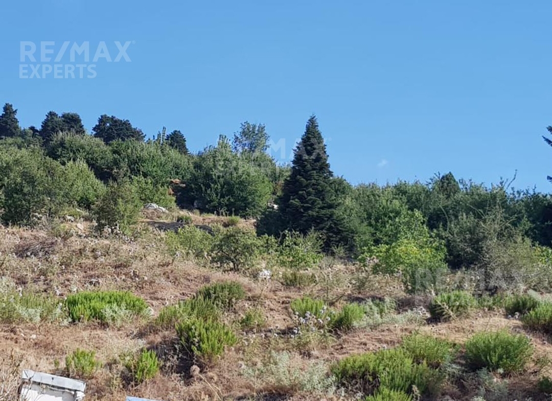 R9-425 Land for sale in Akkar ! — Photo 4 of 7