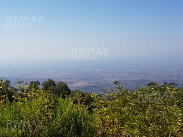 R9-425 Land for sale in Akkar ! — Photo 5 of 7