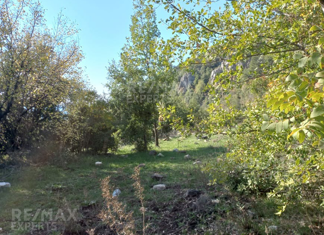 R9-617 Land For Sale in Ain-Jaraire - Jbeil — Photo 2 of 4