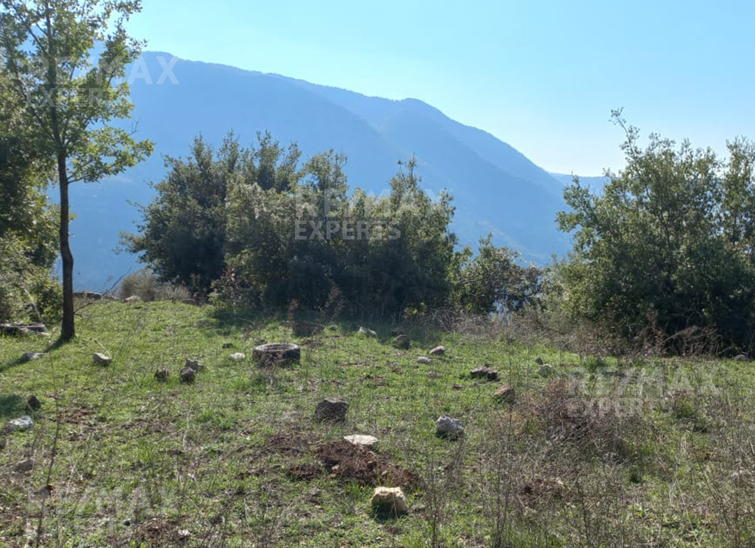 R9-617 Land For Sale in Ain-Jaraire - Jbeil — Photo 3 of 4