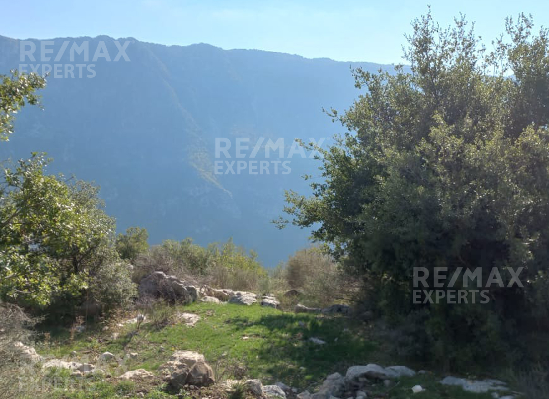 R9-617 Land For Sale in Ain-Jaraire - Jbeil — Photo 4 of 4