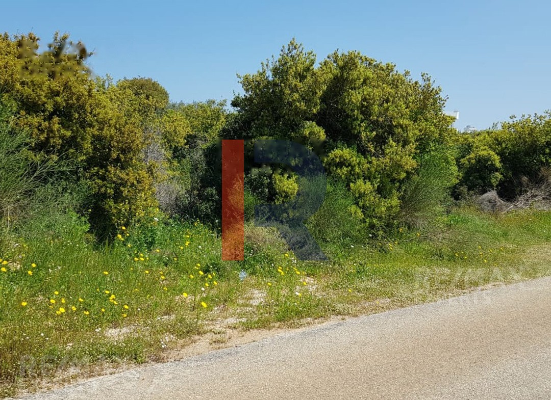 R9-883 Land For Sale in Deddeh-Koura — الصورة 2 من 4