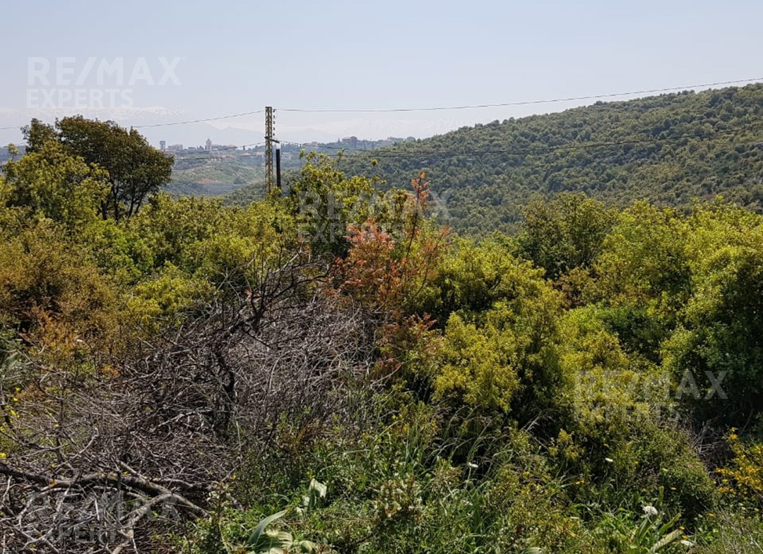 R9-883 Land For Sale in Deddeh-Koura — الصورة 3 من 4