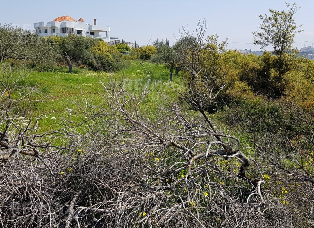 R9-883 Land For Sale in Deddeh-Koura — الصورة 4 من 4