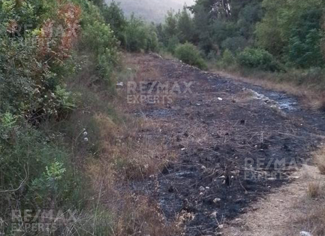 R9-913 Land For Sale in Jbeil — الصورة 2 من 3