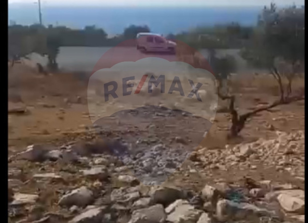R9-1028 2 Lands For Sale in Qalamoun - Tripoli — الصورة 2 من 2