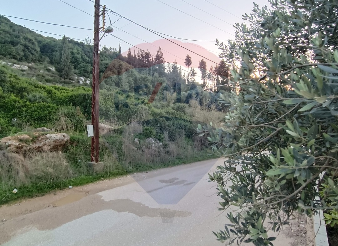 R9-1053 Land For Sale in Ras Maska - Koura — الصورة 2 من 6
