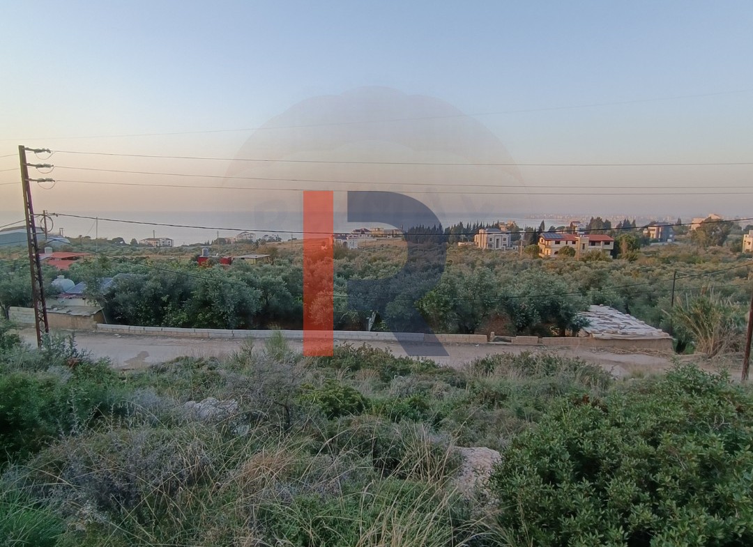 R9-1053 Land For Sale in Ras Maska - Koura — الصورة 3 من 6
