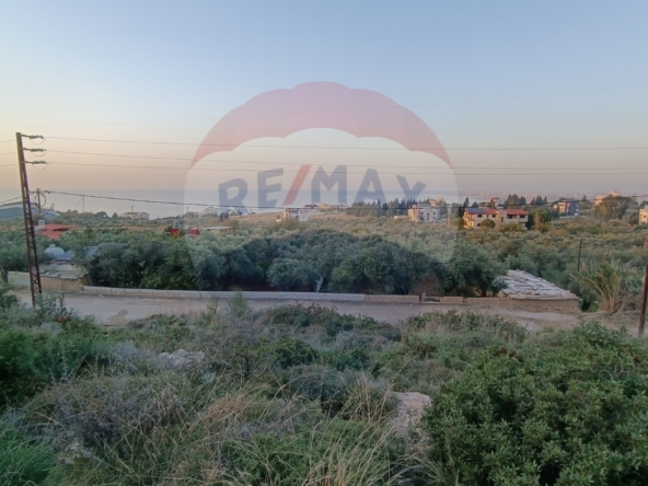 R9-1053 Land For Sale in Ras Maska - Koura — الصورة 3 من 6
