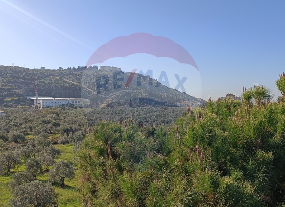 R9-1053 Land For Sale in Ras Maska - Koura — الصورة 4 من 6