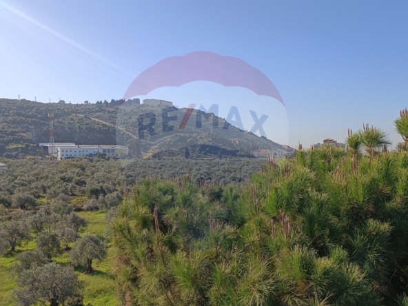 R9-1053 Land For Sale in Ras Maska - Koura — الصورة 4 من 6