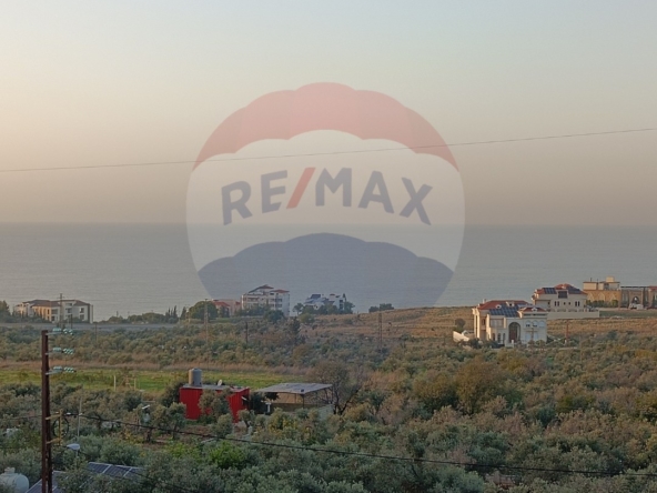 R9-1053 Land For Sale in Ras Maska - Koura — الصورة 5 من 6