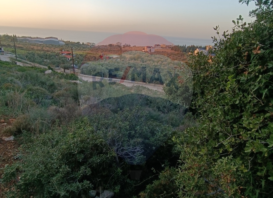 R9-1053 Land For Sale in Ras Maska - Koura — الصورة 6 من 6