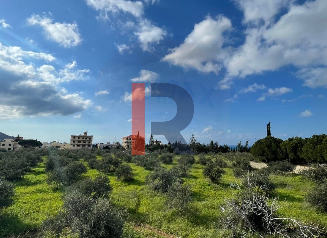 R9-1141 Land For Sale in Ras Maska - Koura — الصورة 2 من 2
