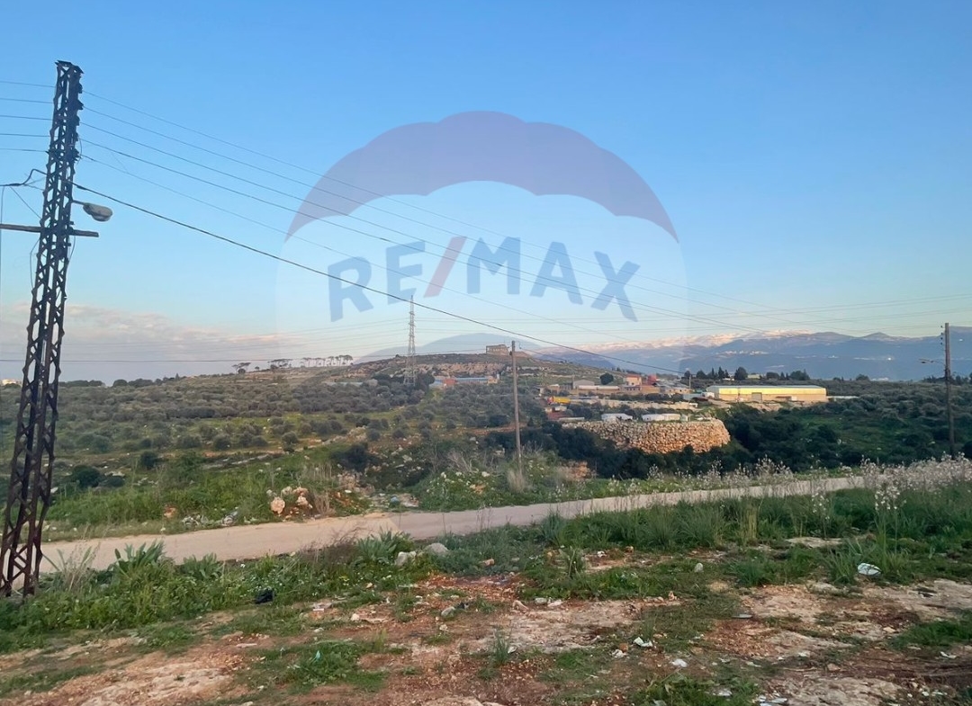 R9-1176 Land For Sale in Dahr Al Ain - Koura — الصورة 2 من 4