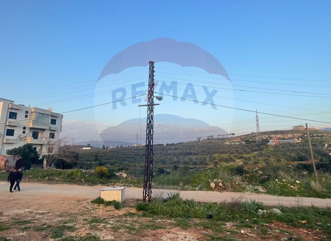 R9-1176 Land For Sale in Dahr Al Ain - Koura — الصورة 3 من 4