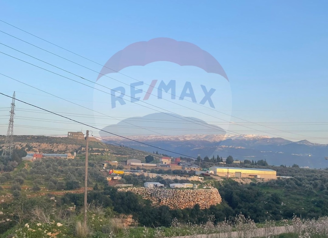 R9-1176 Land For Sale in Dahr Al Ain - Koura — الصورة 4 من 4