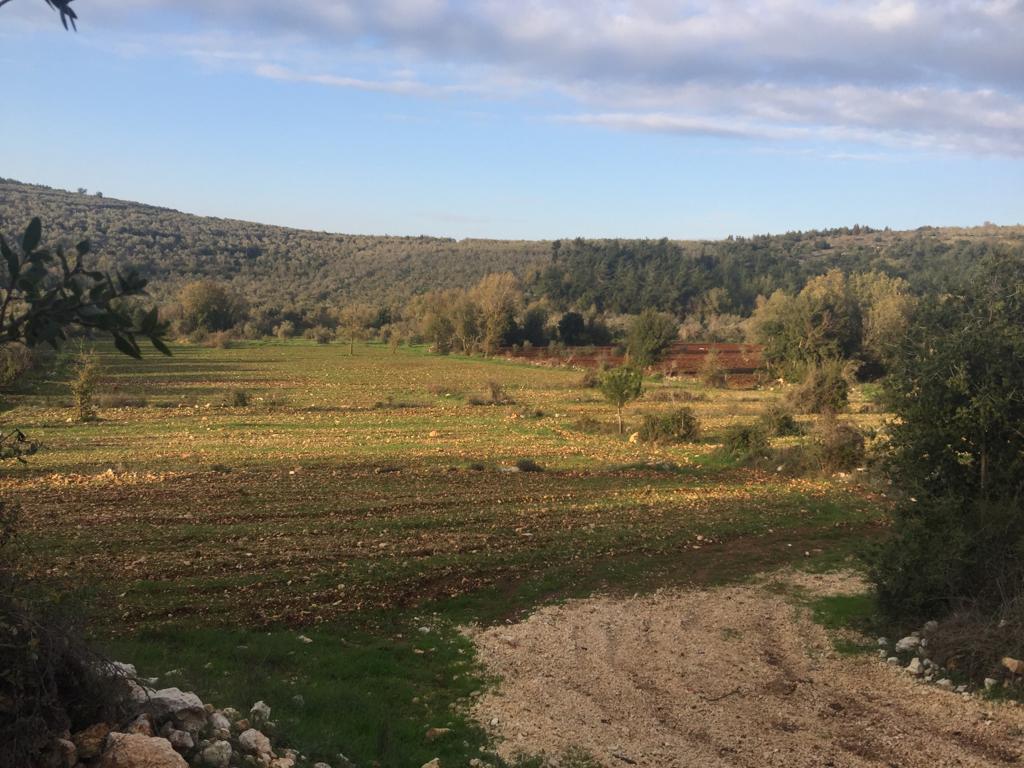 R9-99 Land 8,694 sqm, for Sale in Bayno, Akkar — الصورة 2 من 2