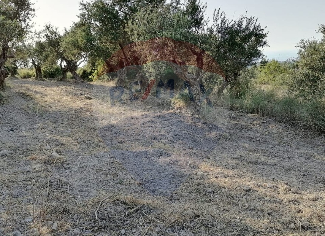 R9-1236 Land For Sale in Bhabdoun - Shekka — Photo 3 of 5