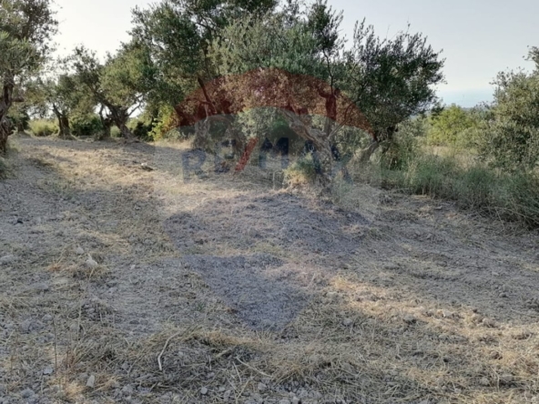 R9-1236 Land For Sale in Bhabdoun - Shekka — Photo 3 of 5