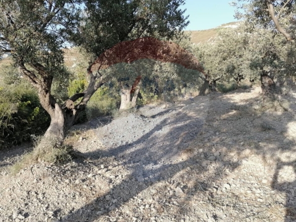 R9-1236 Land For Sale in Bhabdoun - Shekka — Photo 4 of 5