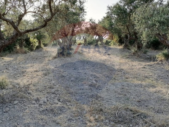 R9-1236 Land For Sale in Bhabdoun - Shekka — Photo 5 of 5