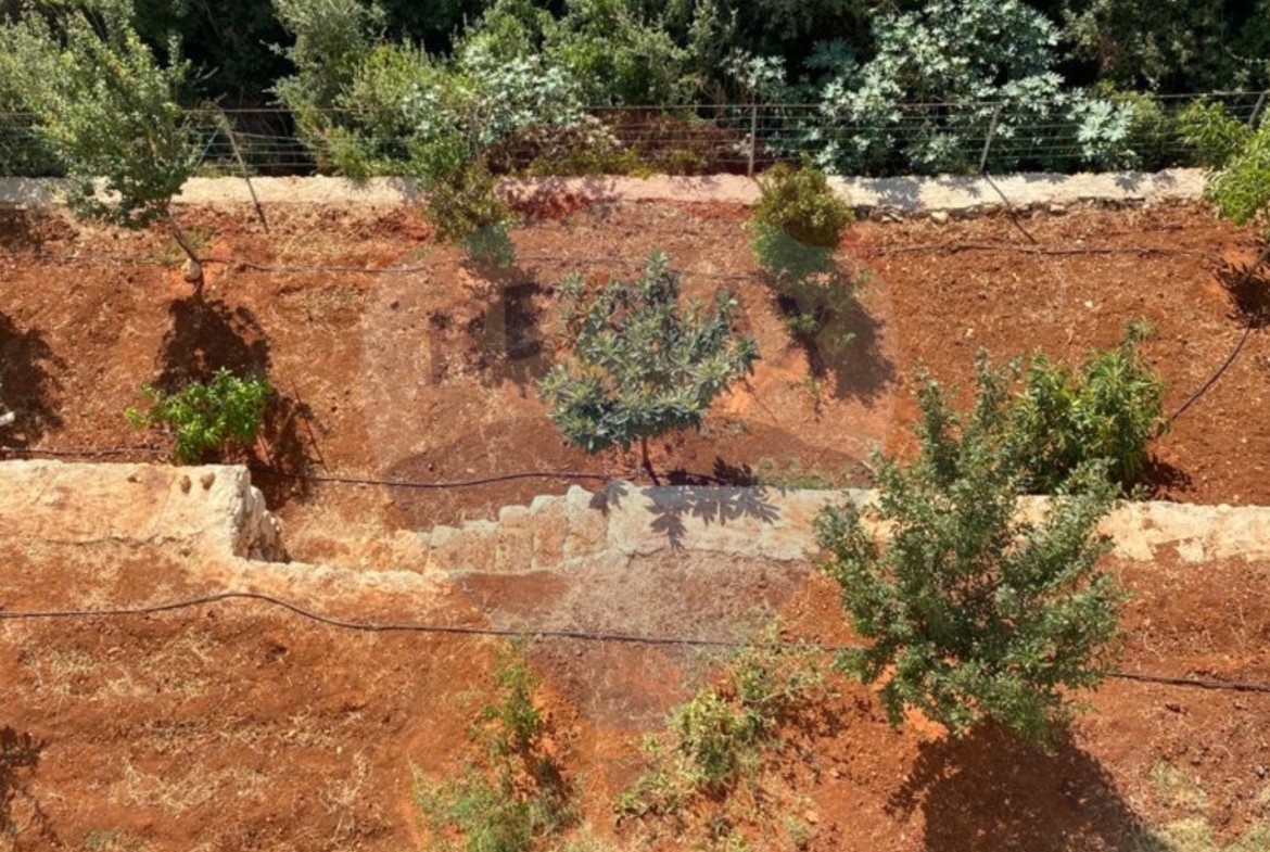 R9-1306 Land With An Apartment On It For Sale - Nakhle! — الصورة 5 من 6