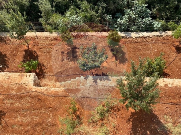 R9-1306 Land With An Apartment On It For Sale - Nakhle! — الصورة 5 من 6