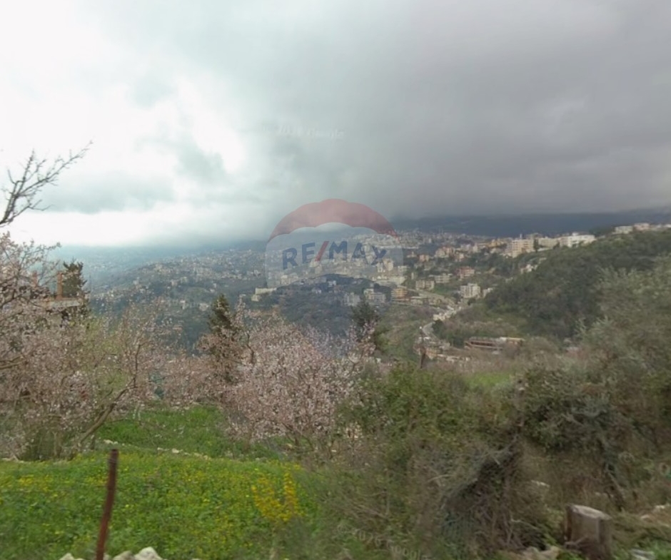 R9-1678 Residential Land for Sale in Assoun, Denniyeh – 1000 sqm with 20/40 Zoning — الصورة 3 من 3