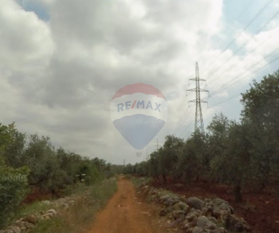 R9-1520 Land for Sale in Btouratij – Koura, 2800 m², Zoning 25/75أرض للبيع في بتوراتيج – الكورة، 2800 م²، تصنيف 25/75 — Photo 2 of 3