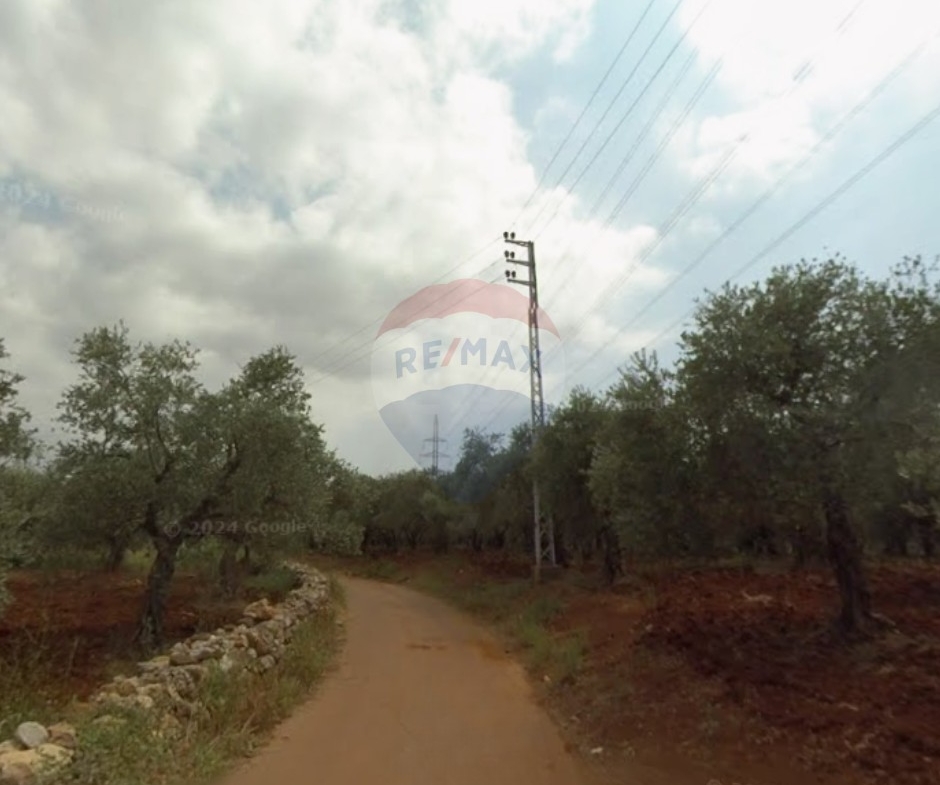 R9-1520 Land for Sale in Btouratij – Koura, 2800 m², Zoning 25/75أرض للبيع في بتوراتيج – الكورة، 2800 م²، تصنيف 25/75 — Photo 3 of 3