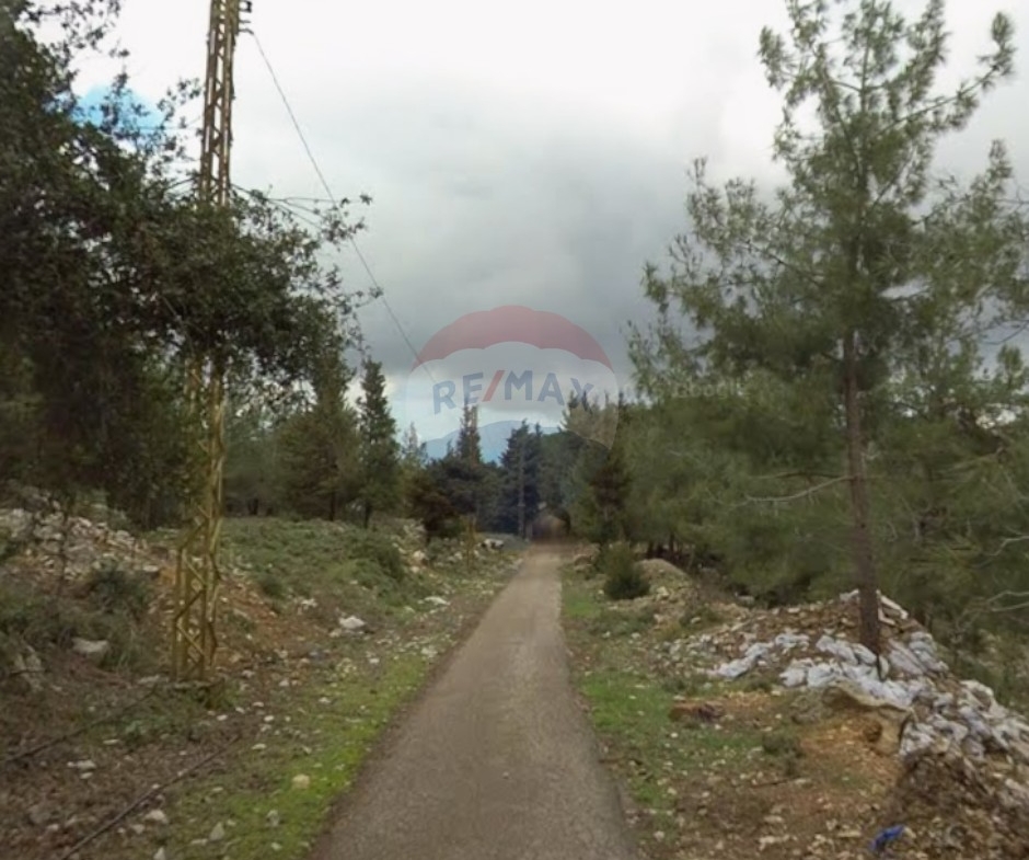 R9-1678 Residential Land for Sale in Assoun, Denniyeh – 1000 sqm with 20/40 Zoning — الصورة 2 من 3