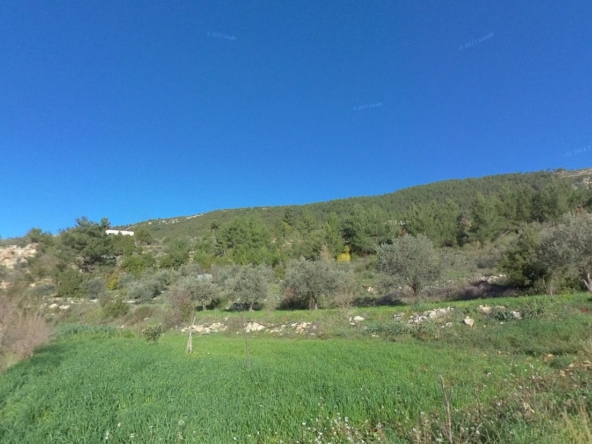 الصورة 1 من 2