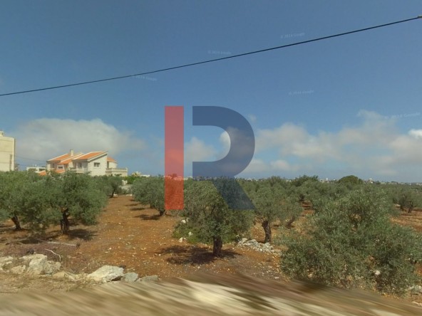 الصورة 1 من 2