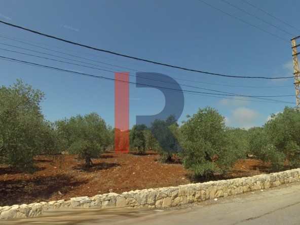 الصورة 1 من 2