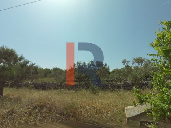 الصورة 1 من 2