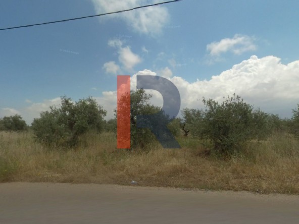 الصورة 1 من 2