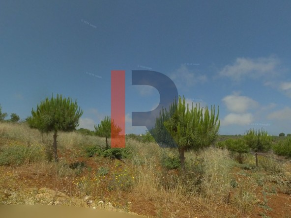 الصورة 1 من 2