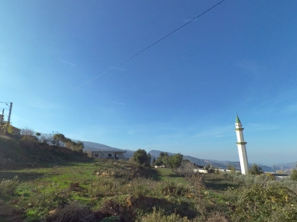 الصورة 1 من 1