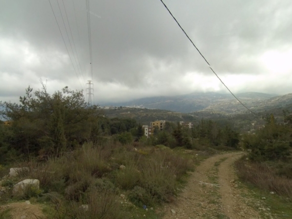 الصورة 1 من 1