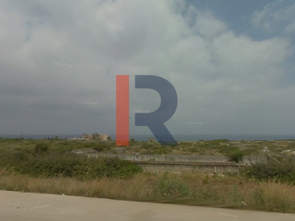 الصورة 1 من 1