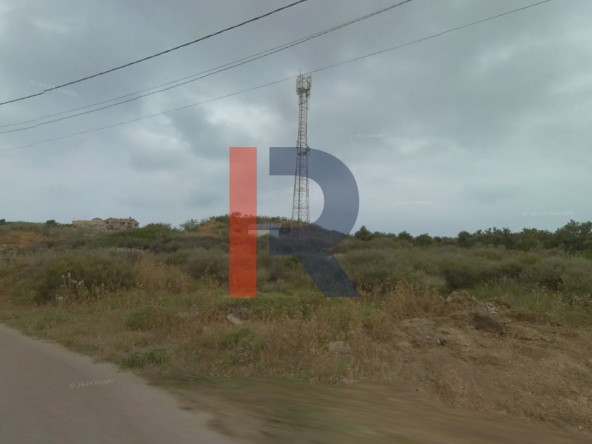 الصورة 1 من 1