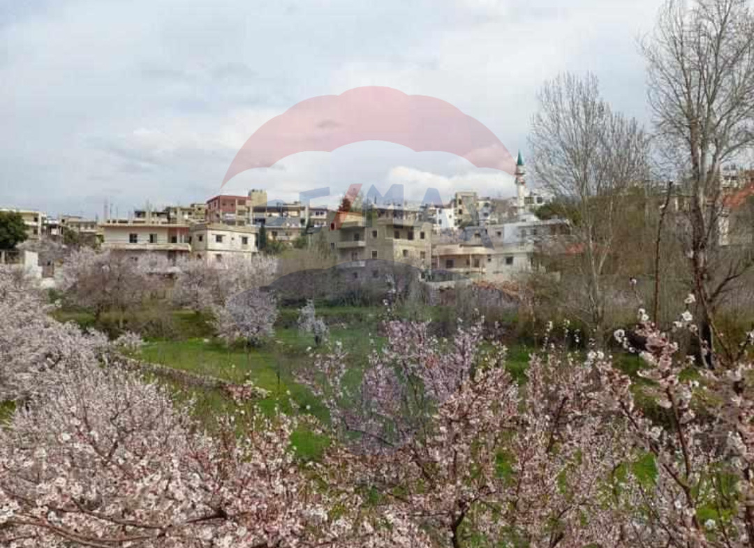 R9-1742 Furnished apartment 220m with jacuzzi for sale in Syr - Danniyeh — Photo 10 of 10