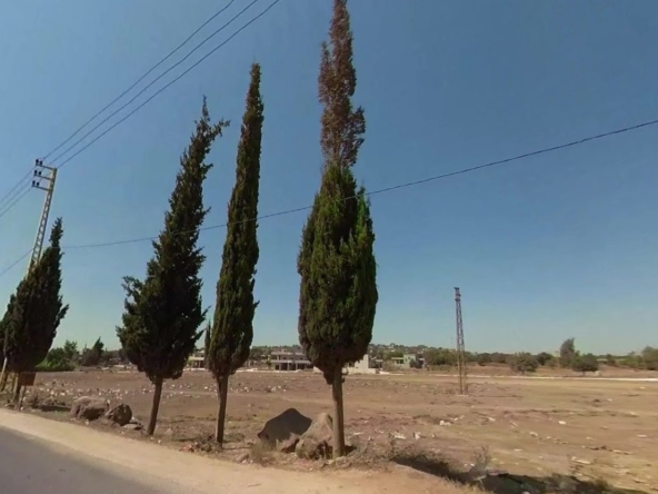 الصورة 1 من 1