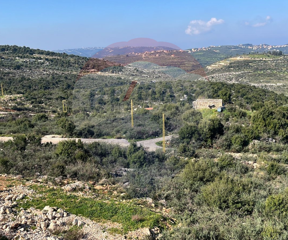 R9-1782  Land 1334m for sale in Dar Baachtar - Koura — Photo 2 of 2